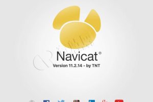 Navicat Premium 16.0.14_zh-CN for Mac 中文破解版 (强大的数据库管理工具)
